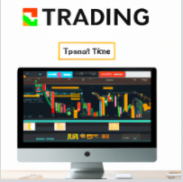 tradingweb是什么